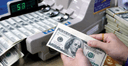 High USD Exchange Rate and Rising Interest Rates: What Signals for the Economy?